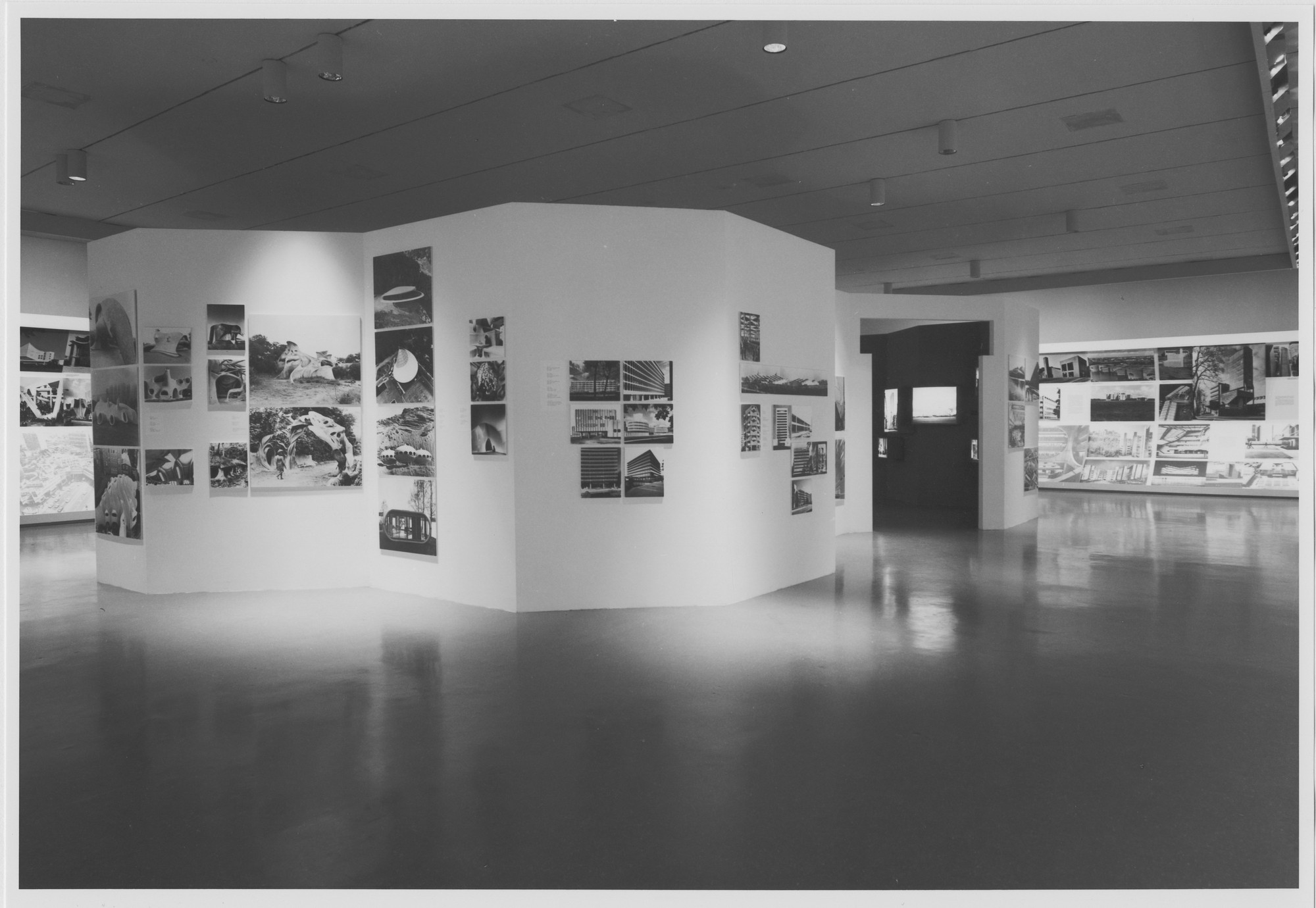 Installation view of the exhibition 