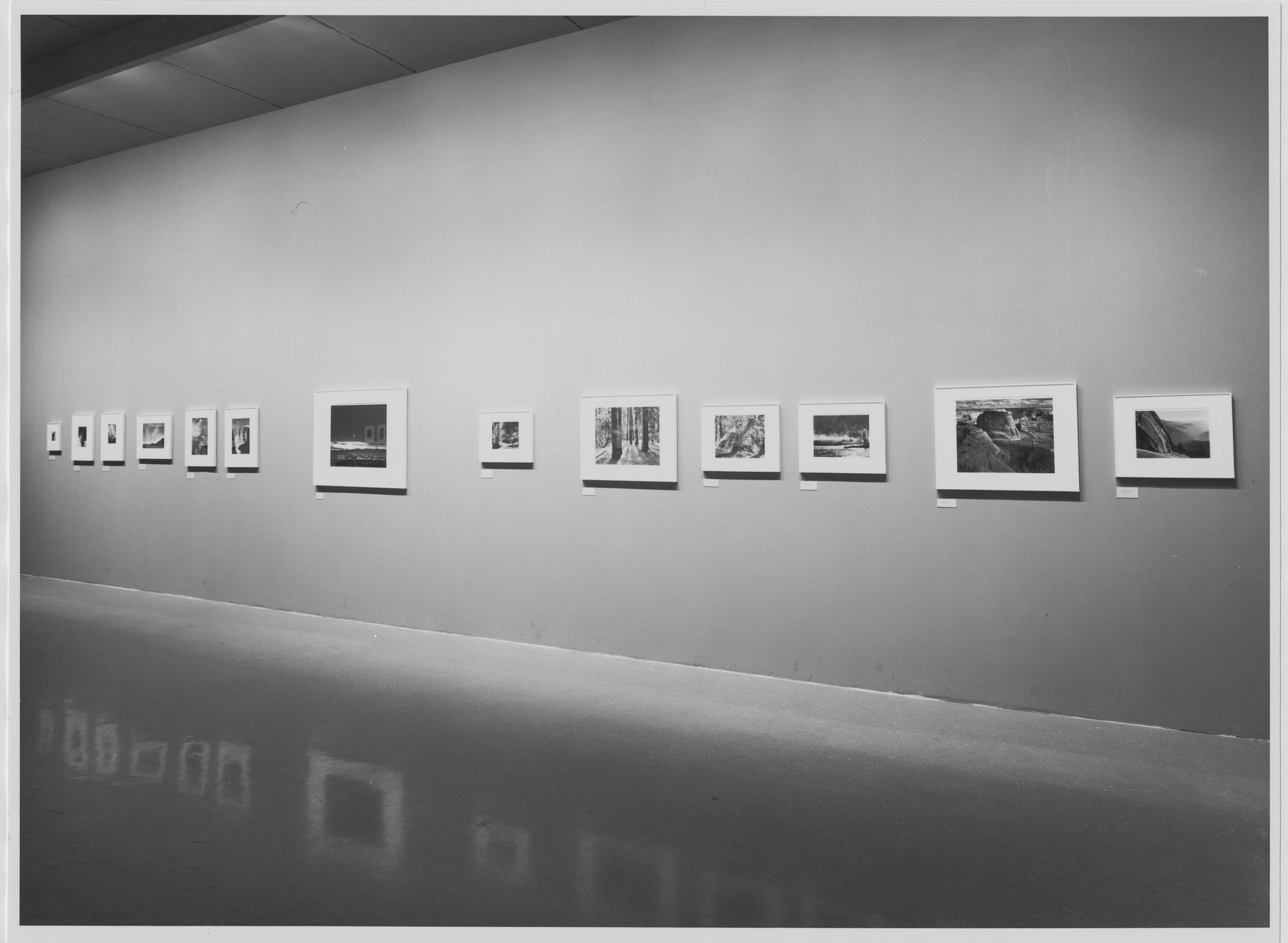 Installation view of the exhibition "Ansel Adams and the West" MoMA