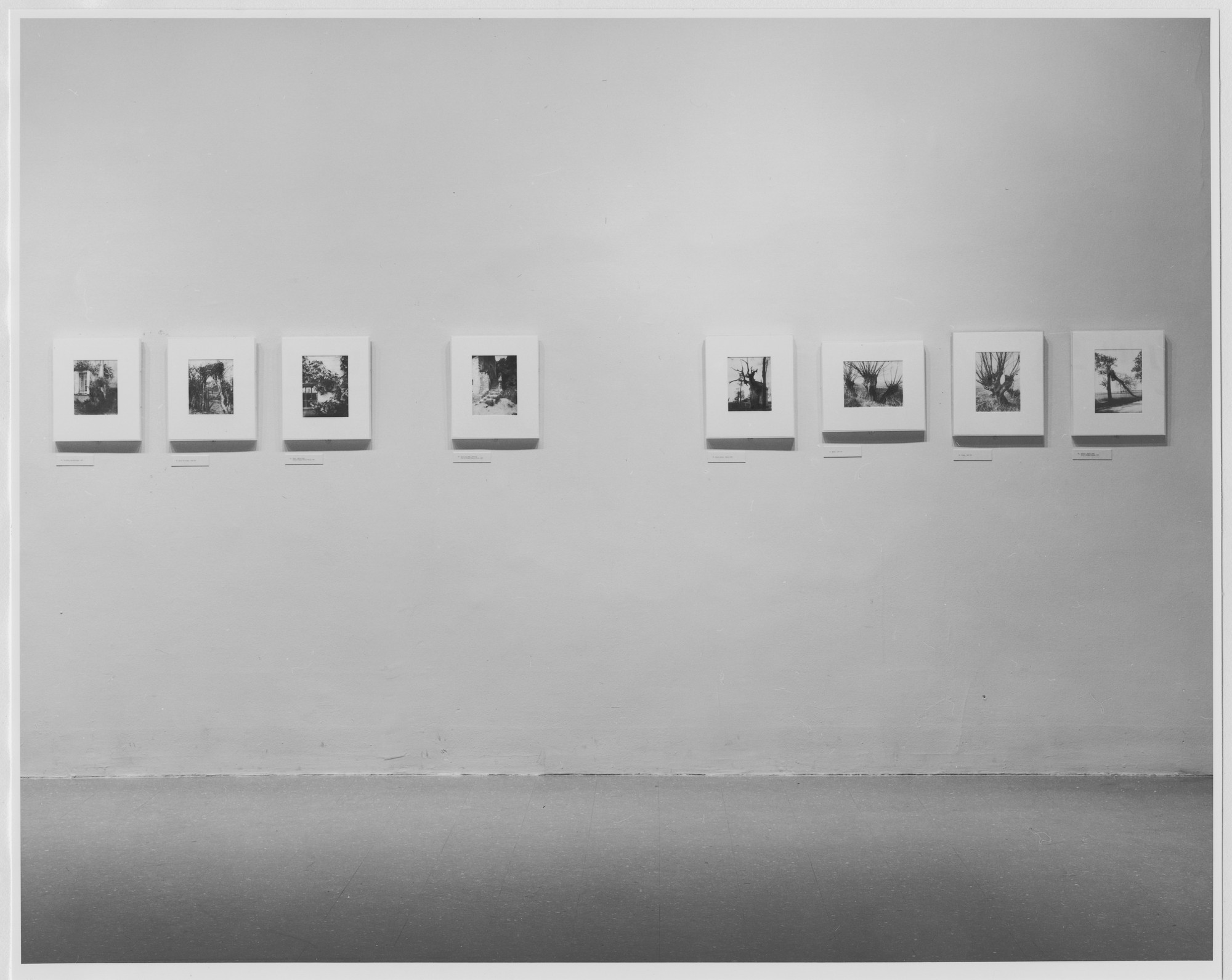 Installation view of the exhibition 