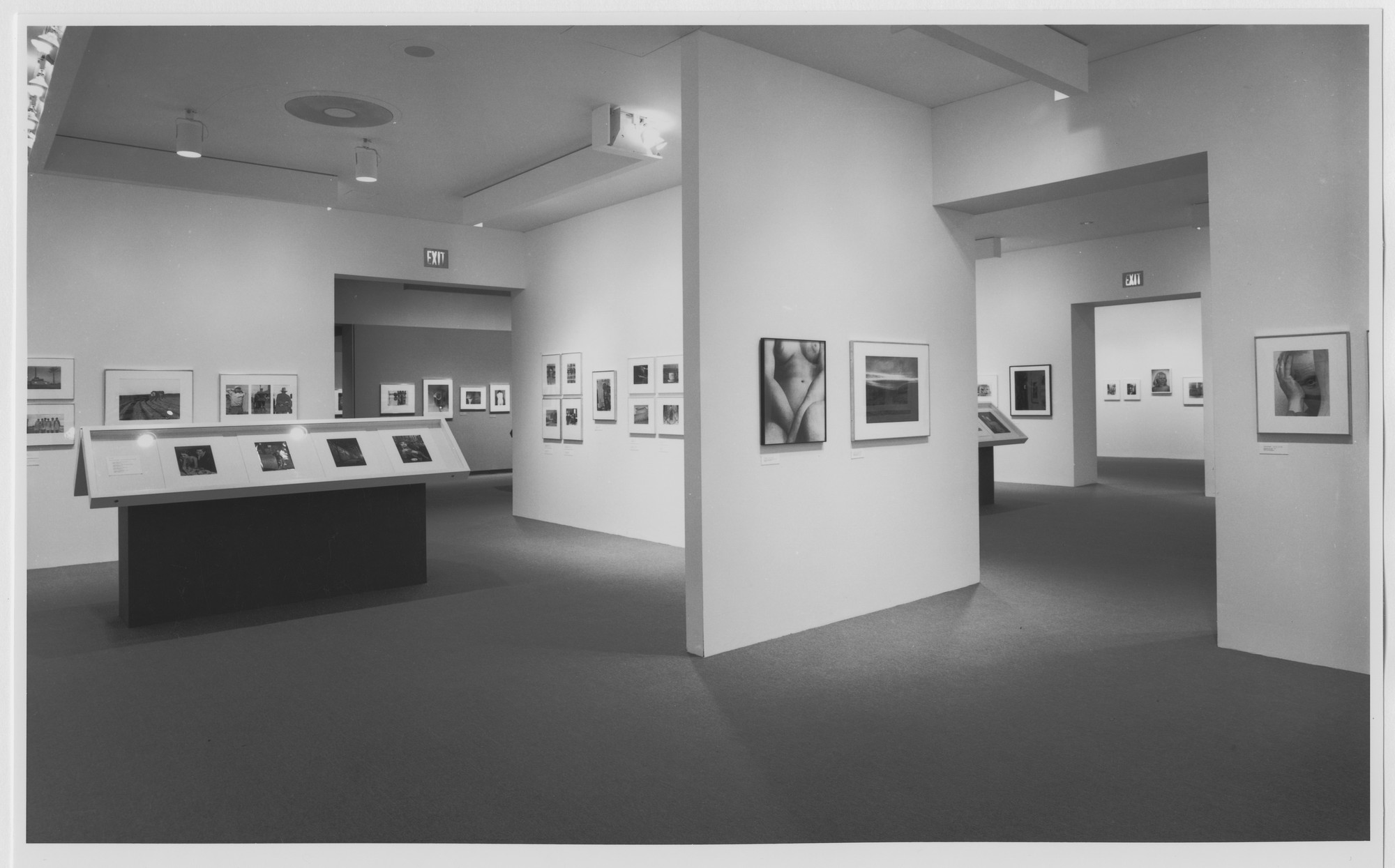 Installation View Of The Exhibition 