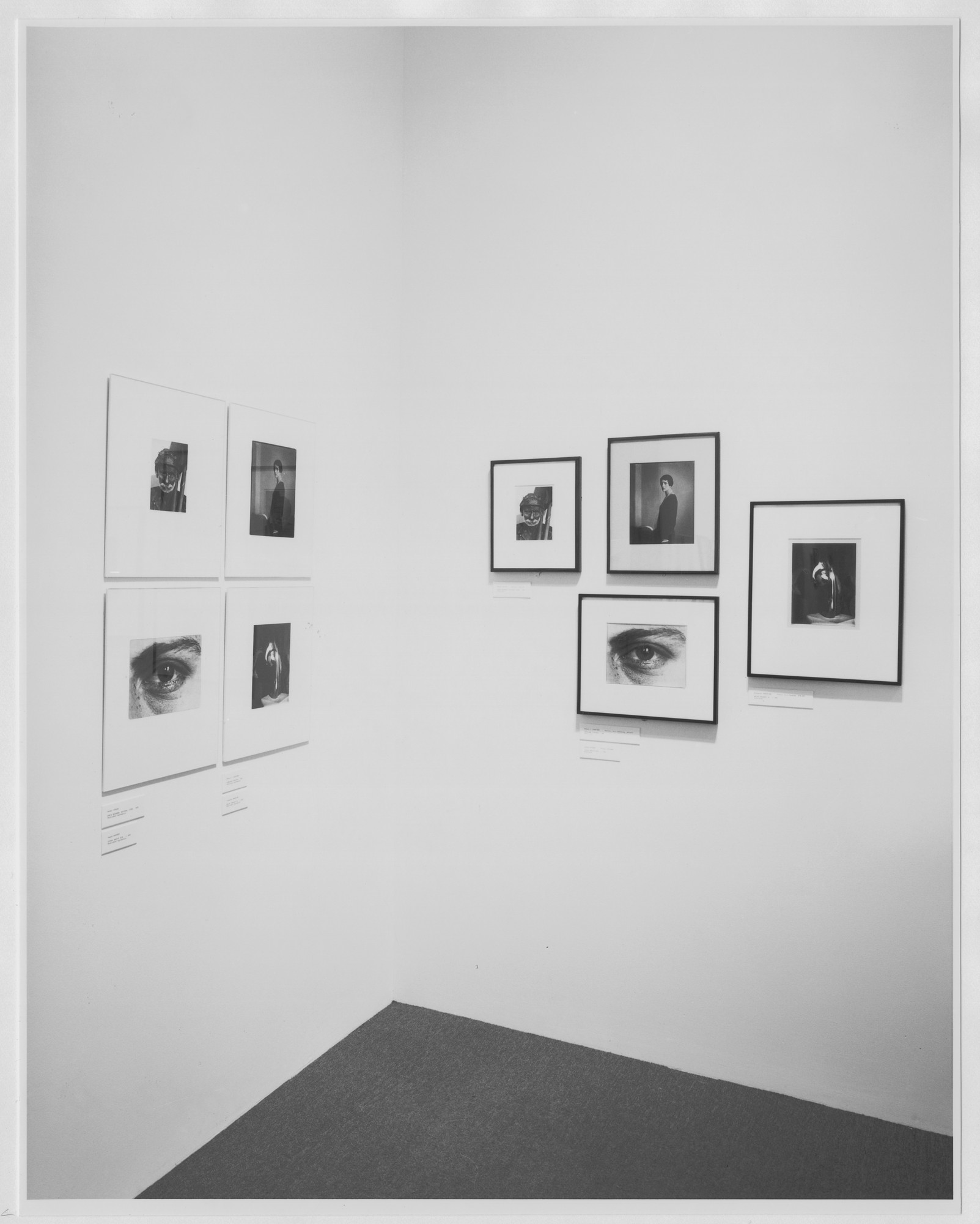 Installation view of the exhibition 