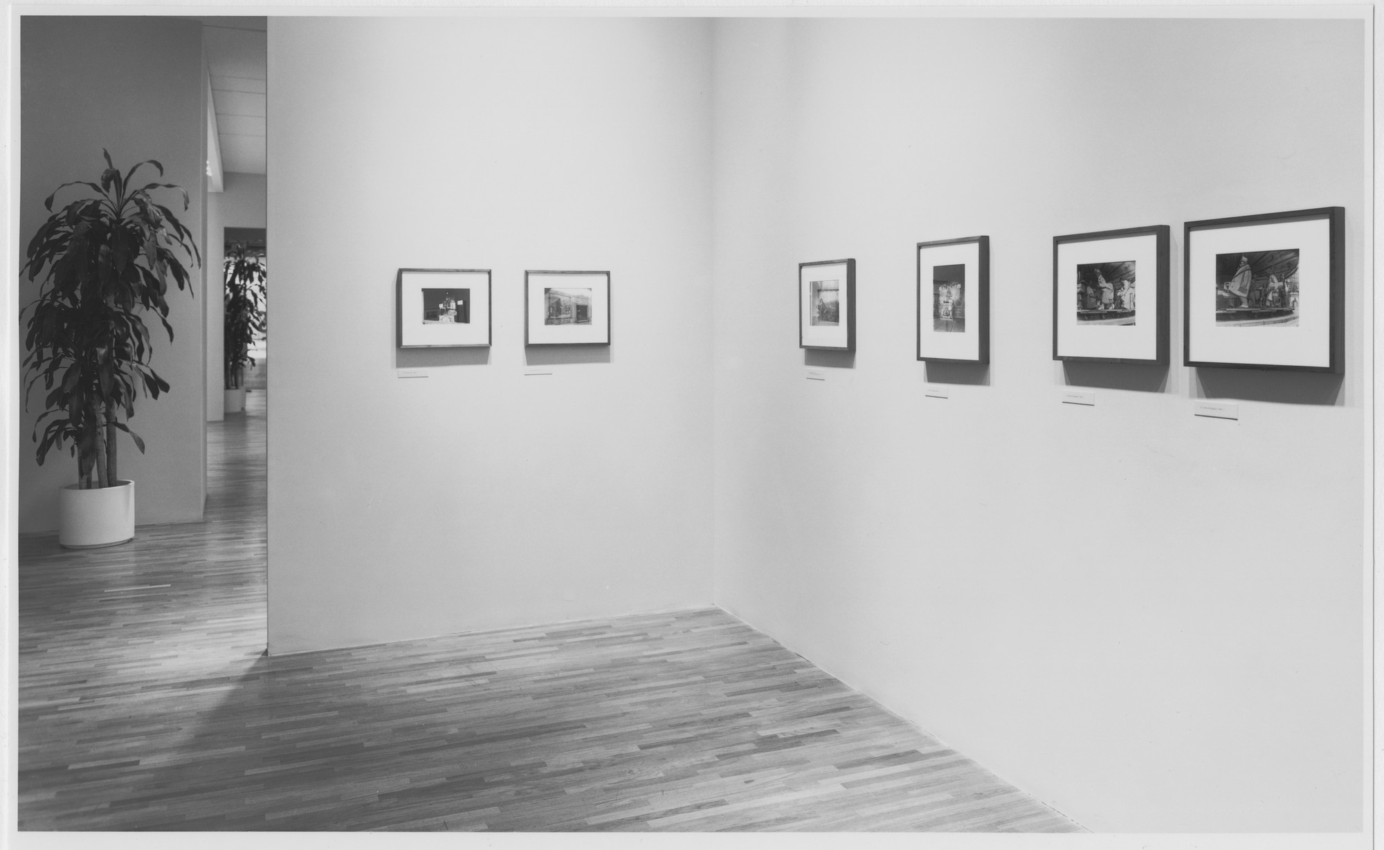 Installation view of the exhibition 