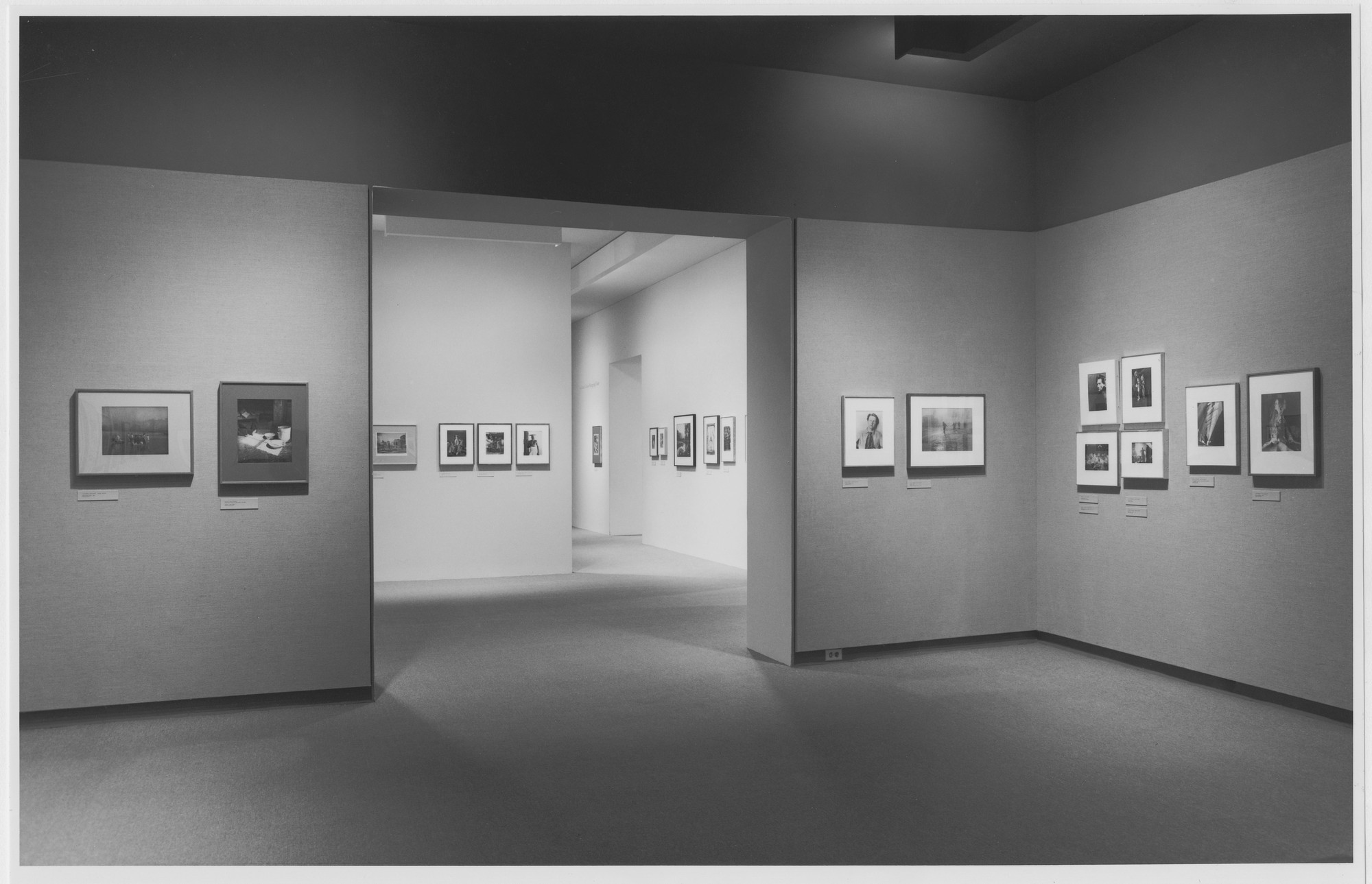 Installation view of the exhibition 