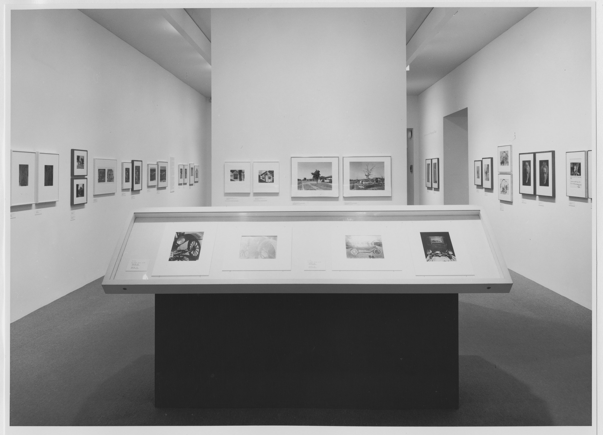 Installation view of the exhibition 