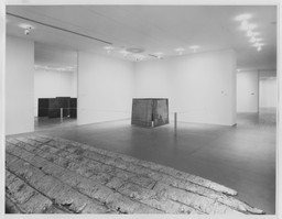Richard Serra/Sculpture | MoMA