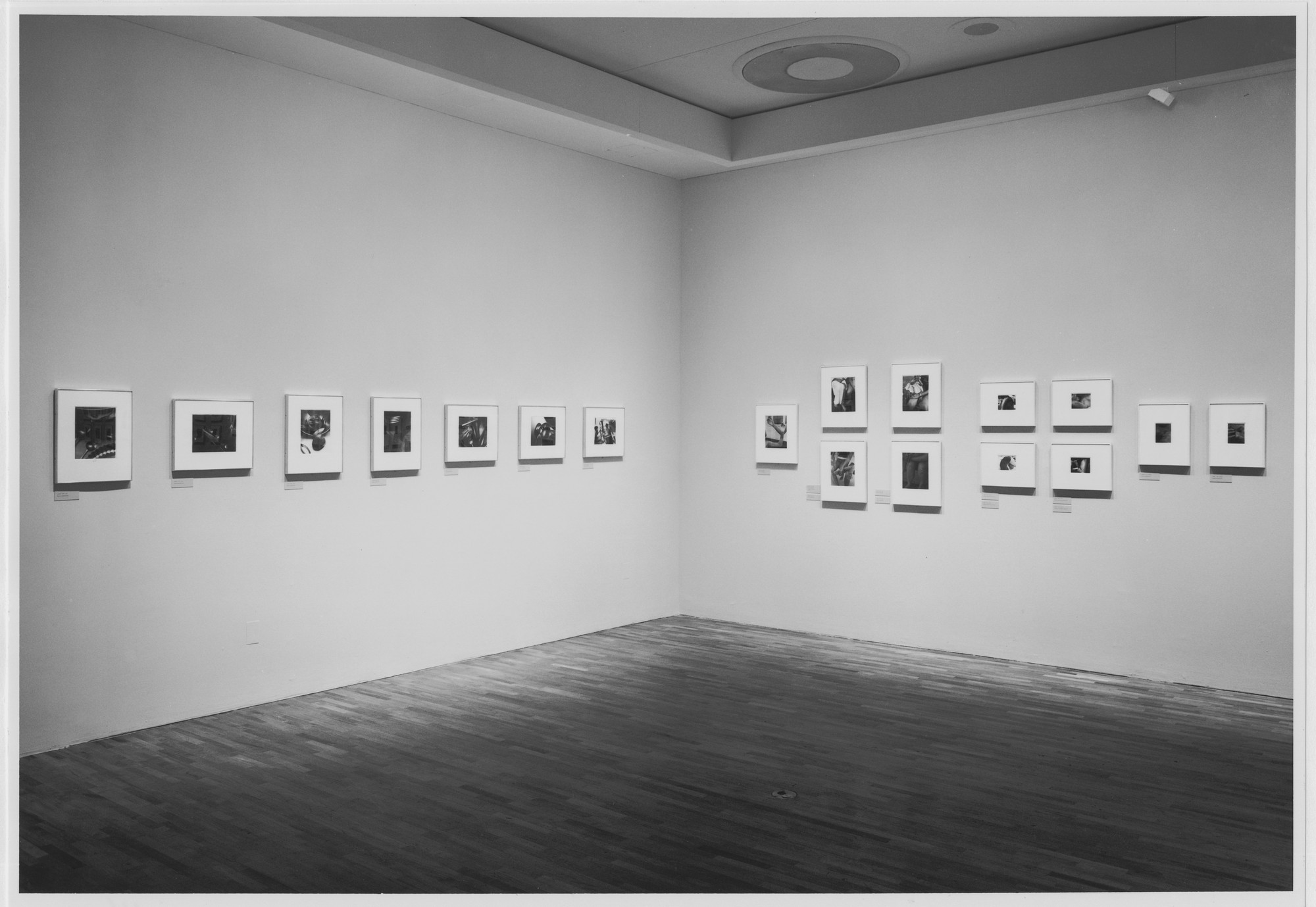 Installation view of the exhibition 