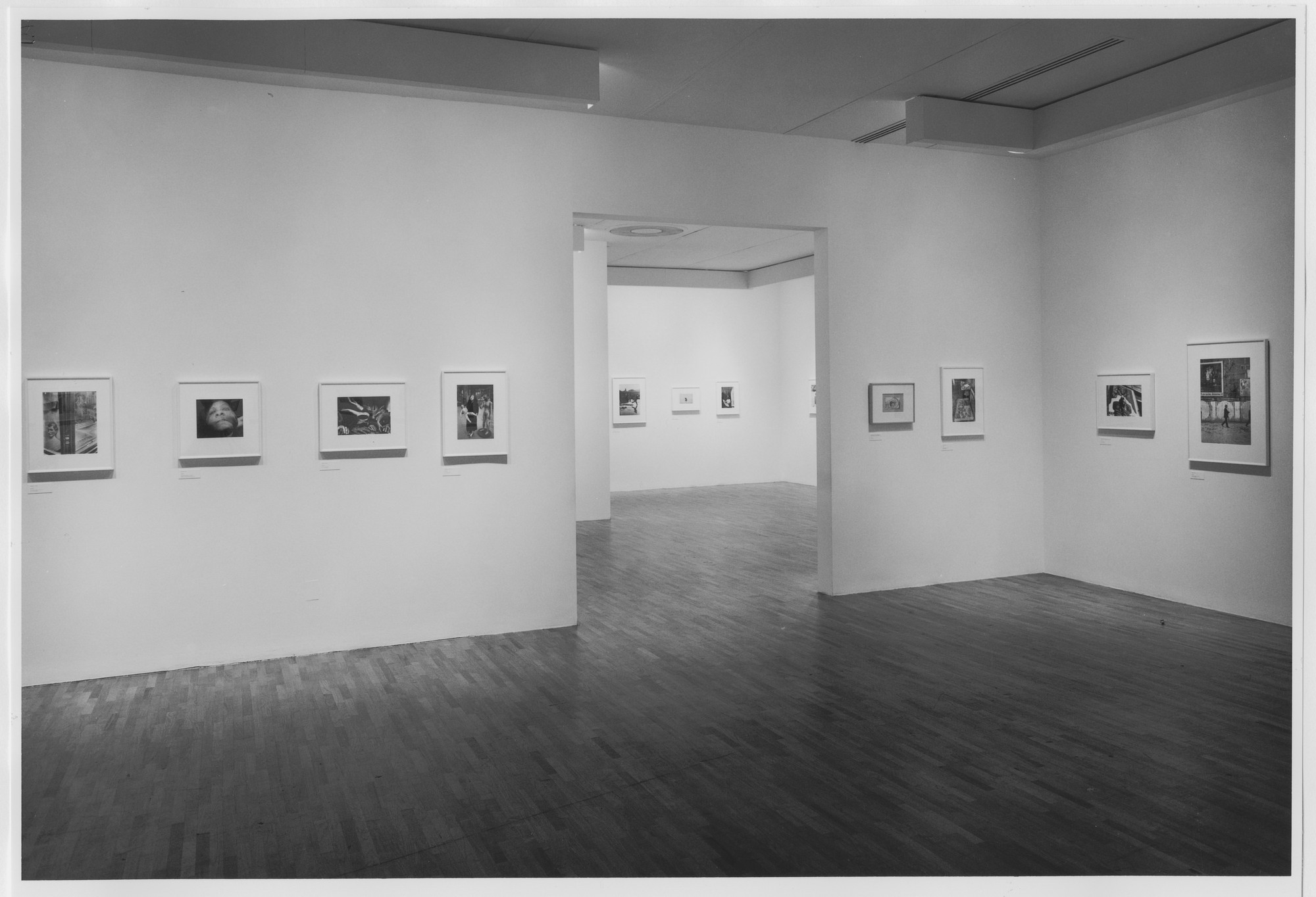 Installation view of the exhibition 