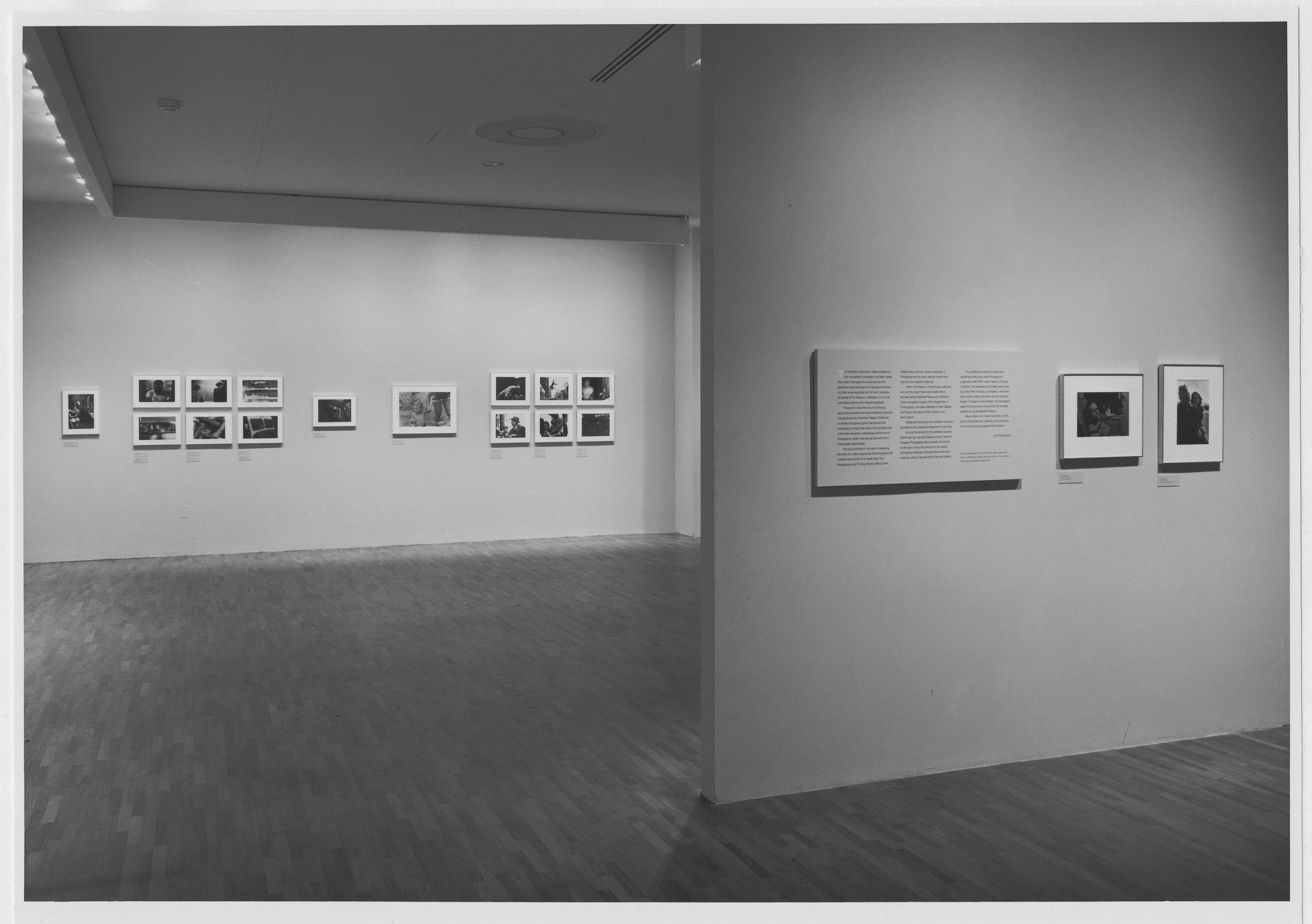 Installation view of the exhibition 