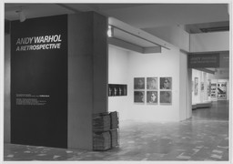 Andy Warhol: A Retrospective | MoMA