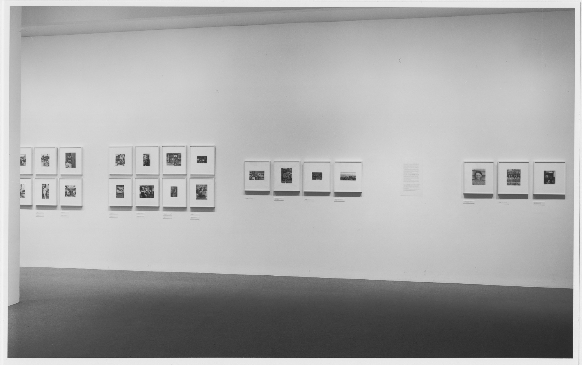 Installation view of the exhibition 