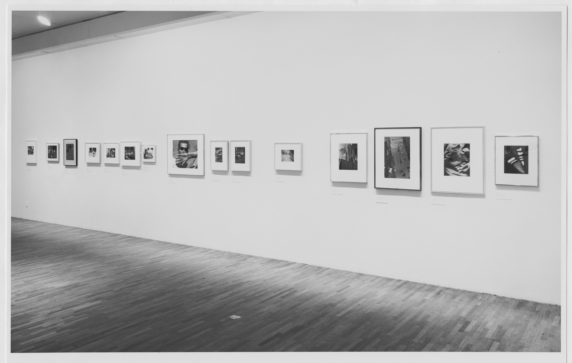 Installation view of the exhibition 