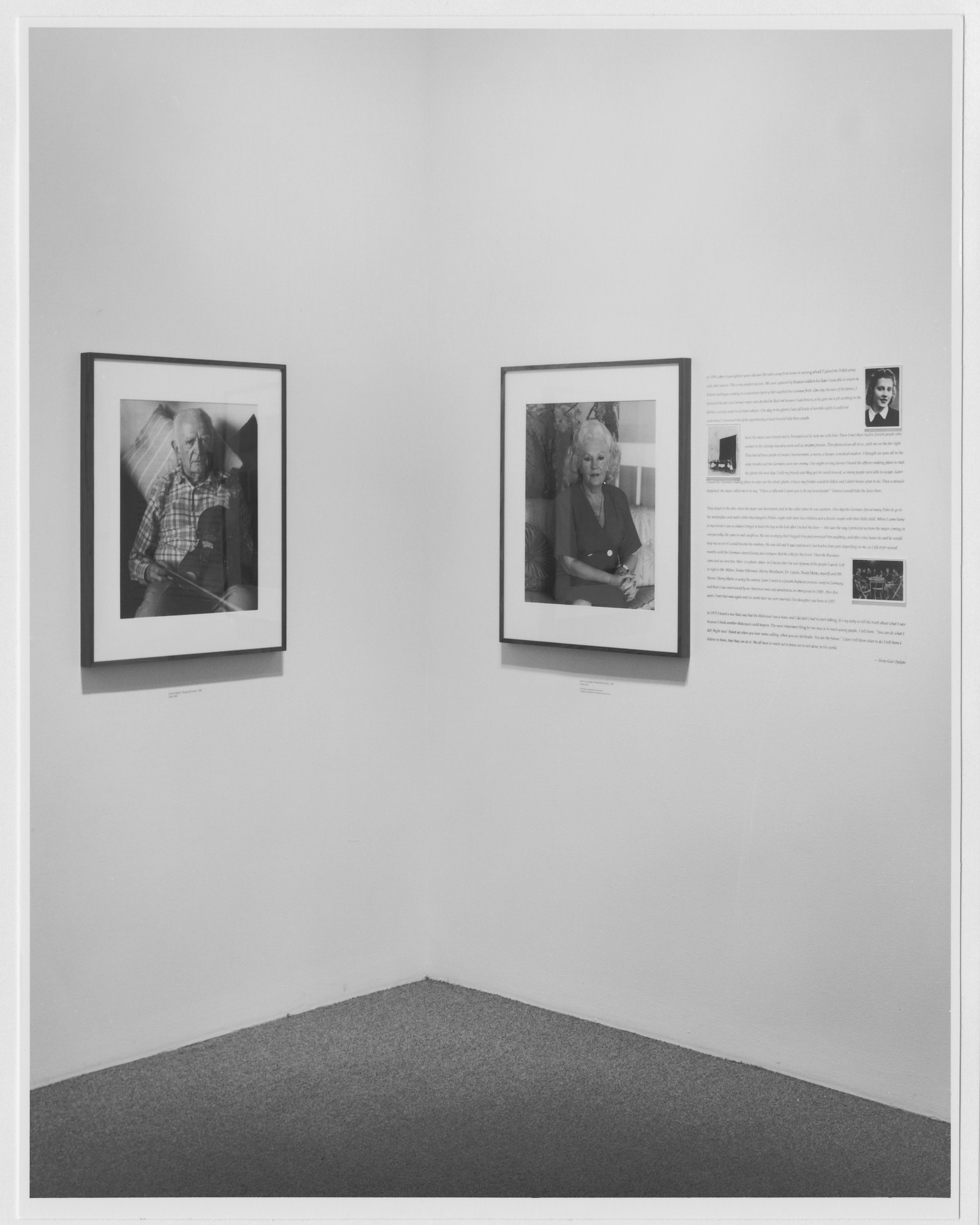 Installation view of the exhibition 