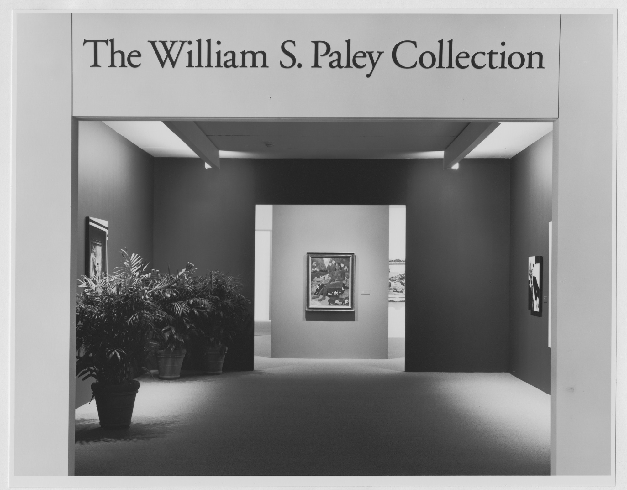 installation-view-of-the-exhibition-the-william-s-paley-collection