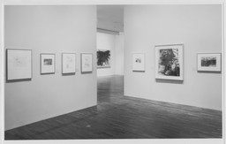 Allegories of Modernism: Contemporary Drawing | MoMA