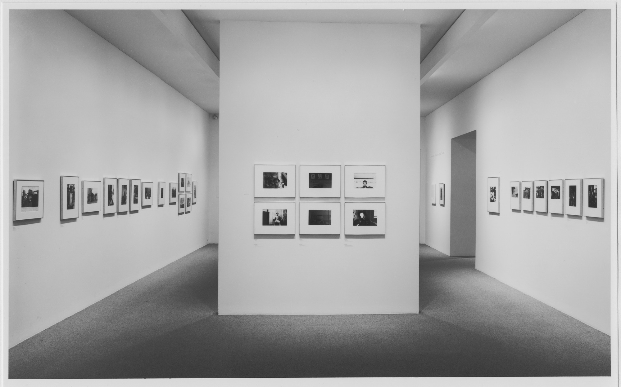 Installation view of the exhibition 