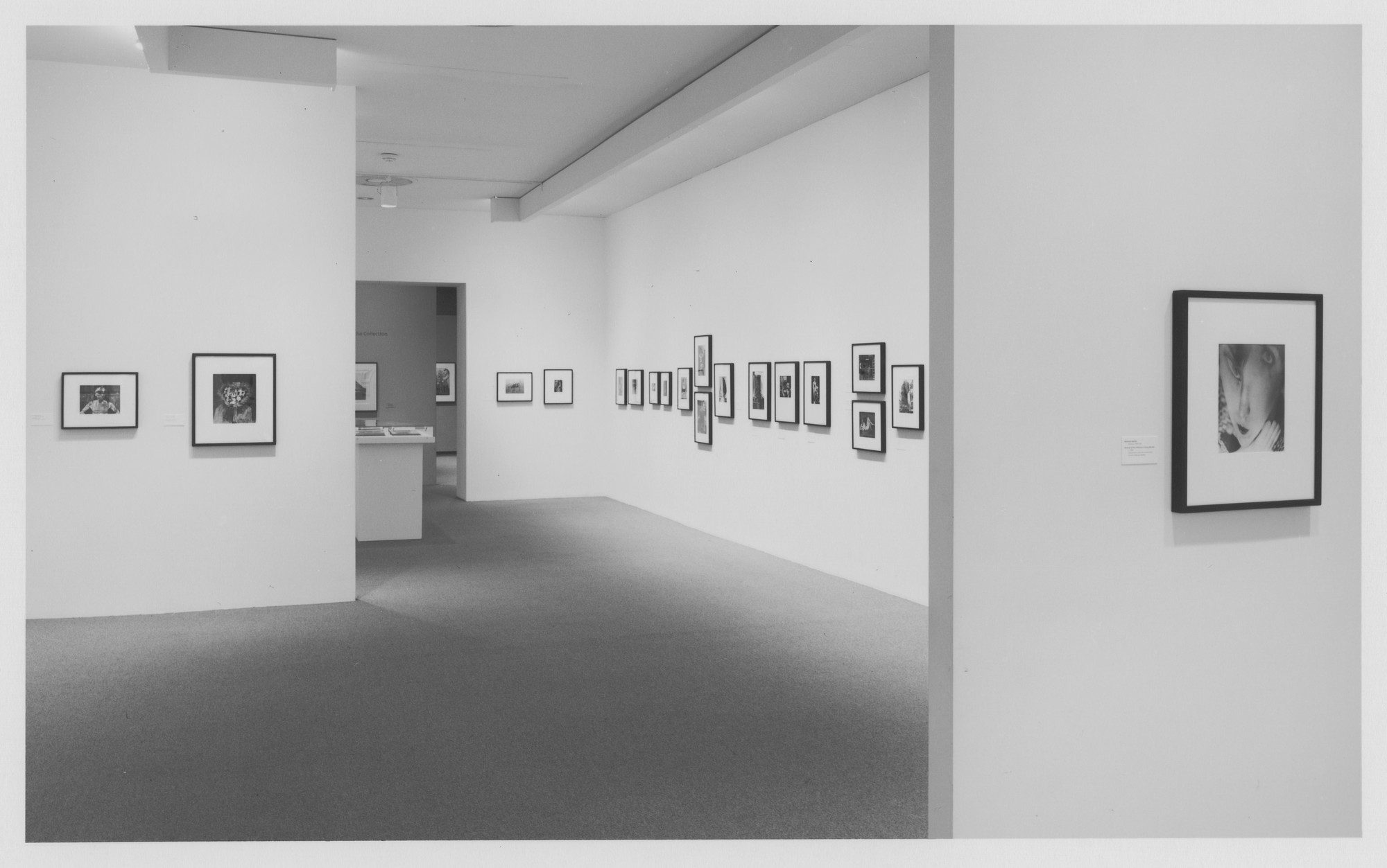 Installation view of the exhibition 