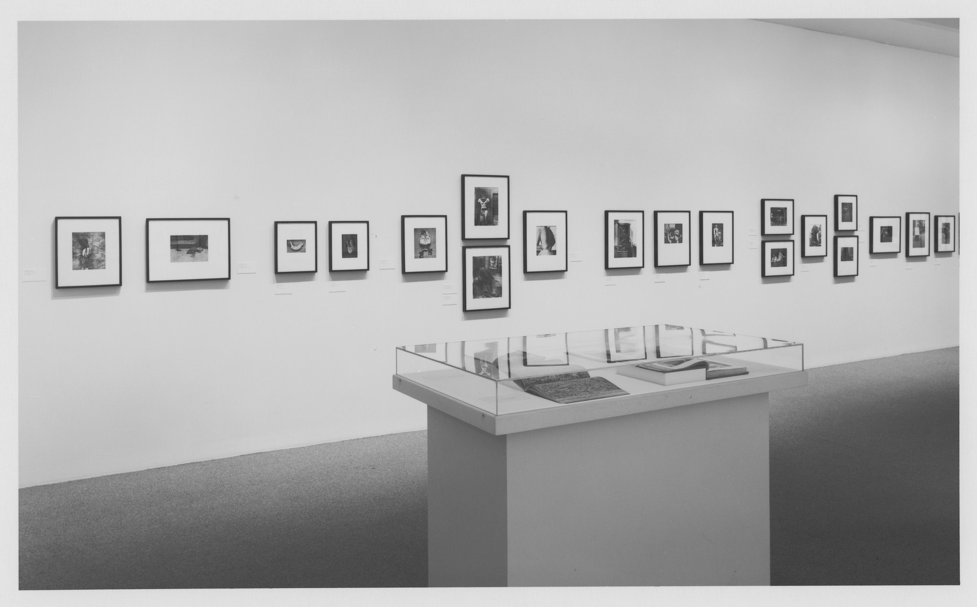 Installation View Of The Exhibition 