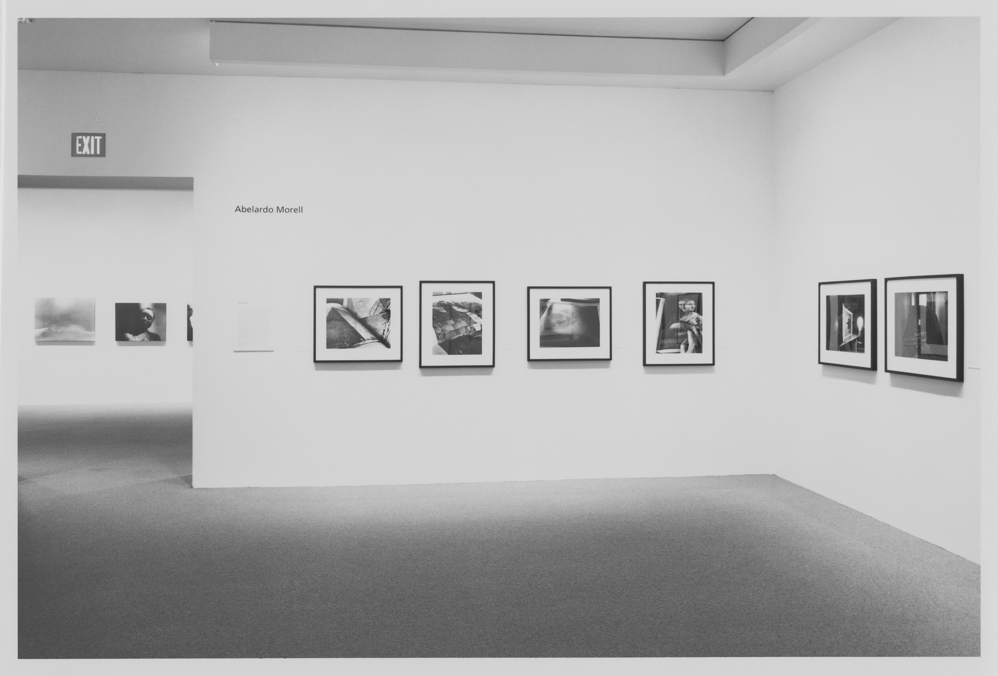 Installation view of the exhibition 