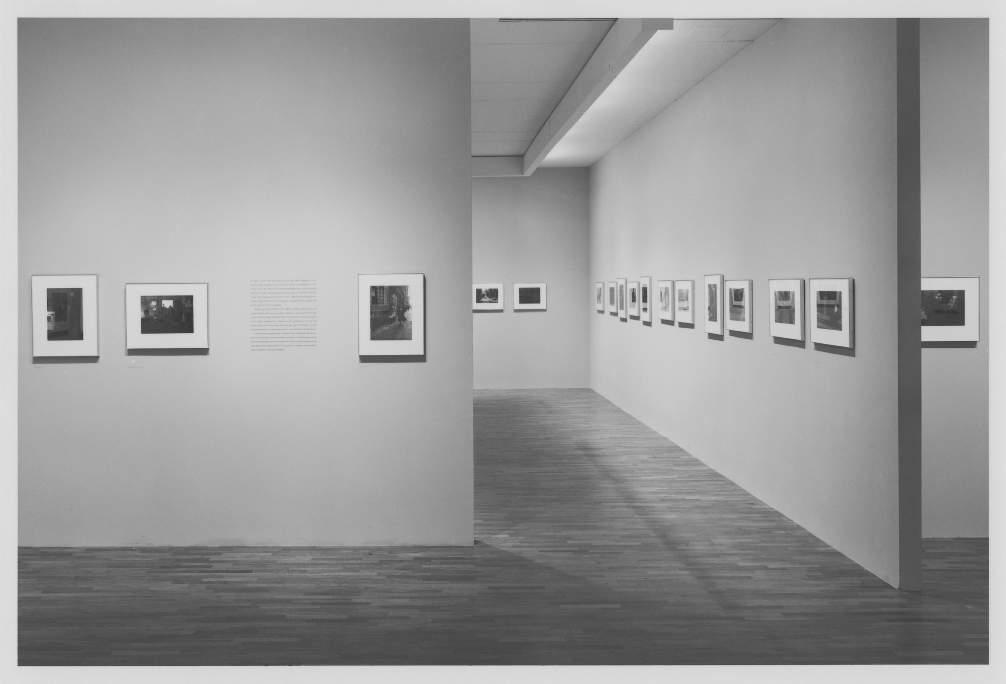 Installation view of the exhibition 