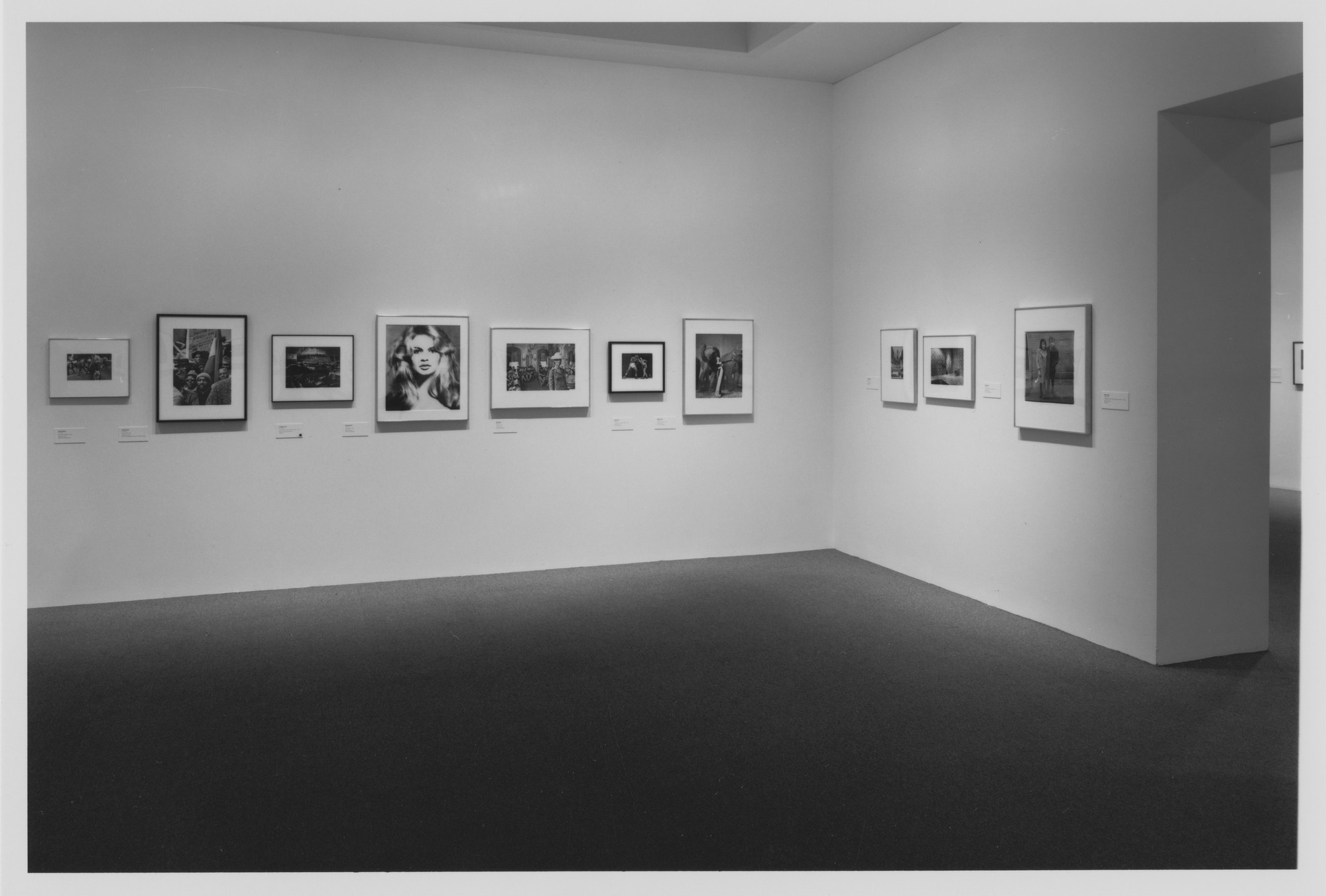 Installation view of the exhibition 