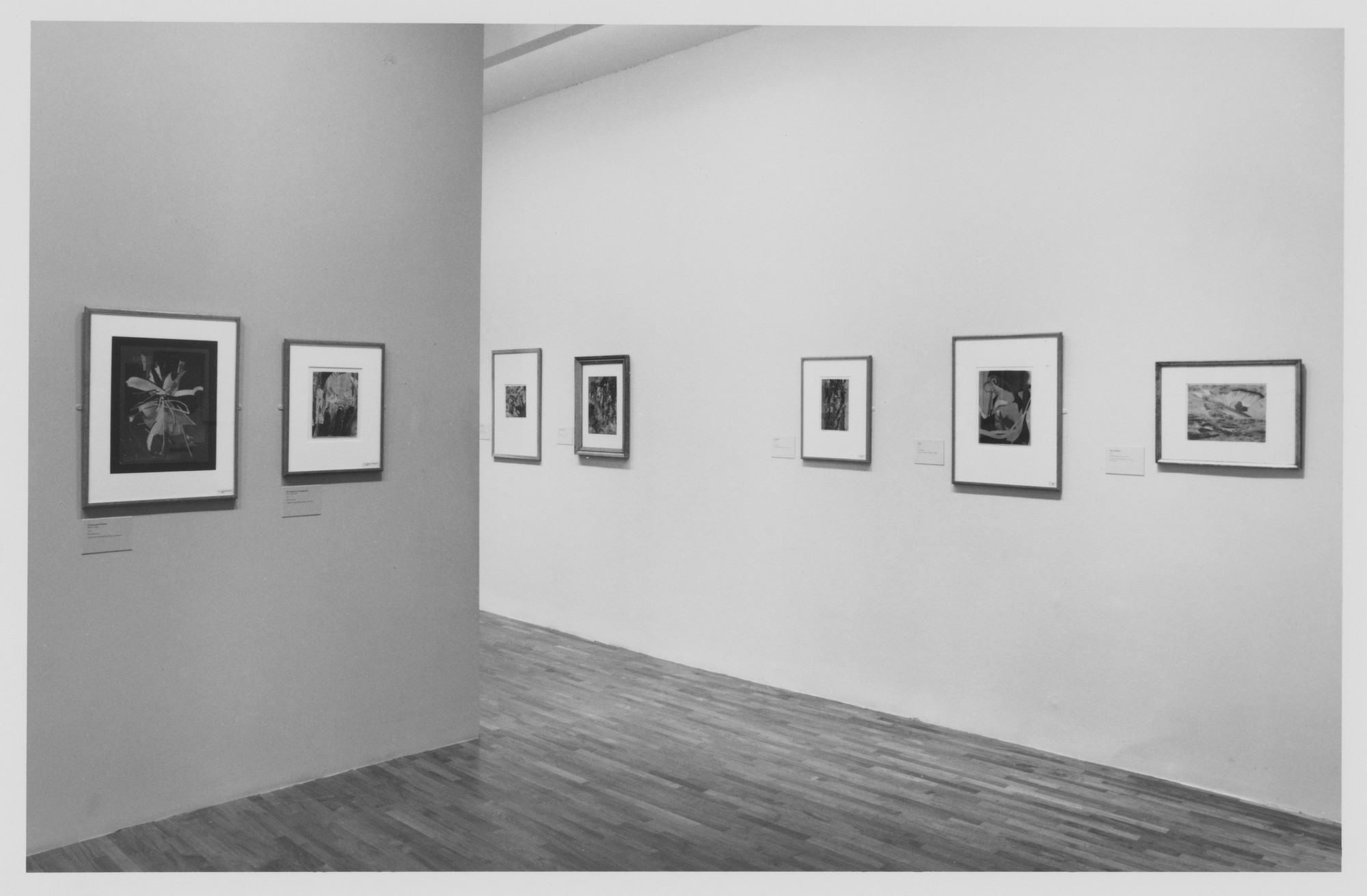 Installation view of the exhibition 