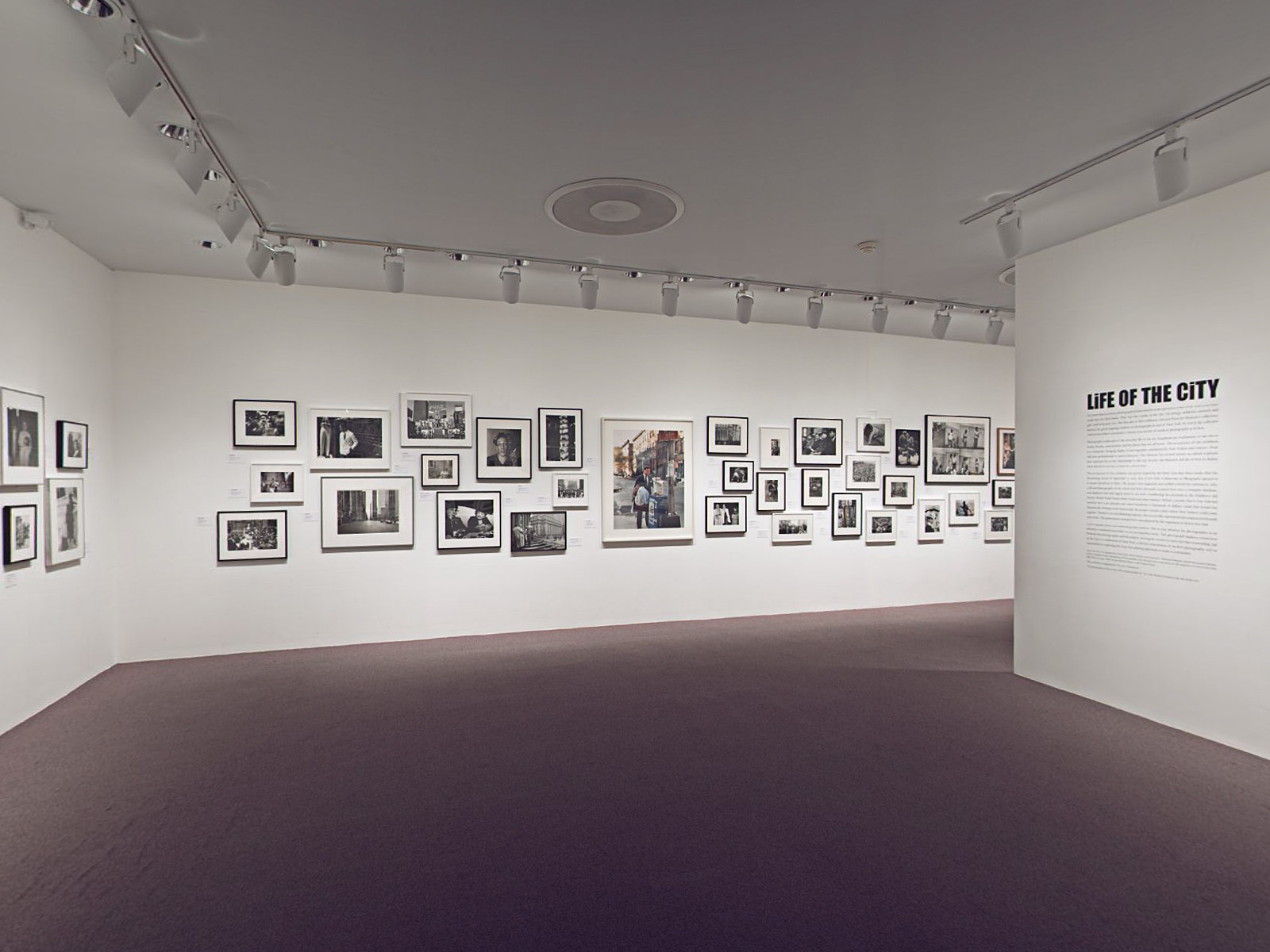 Installation view of the exhibition 