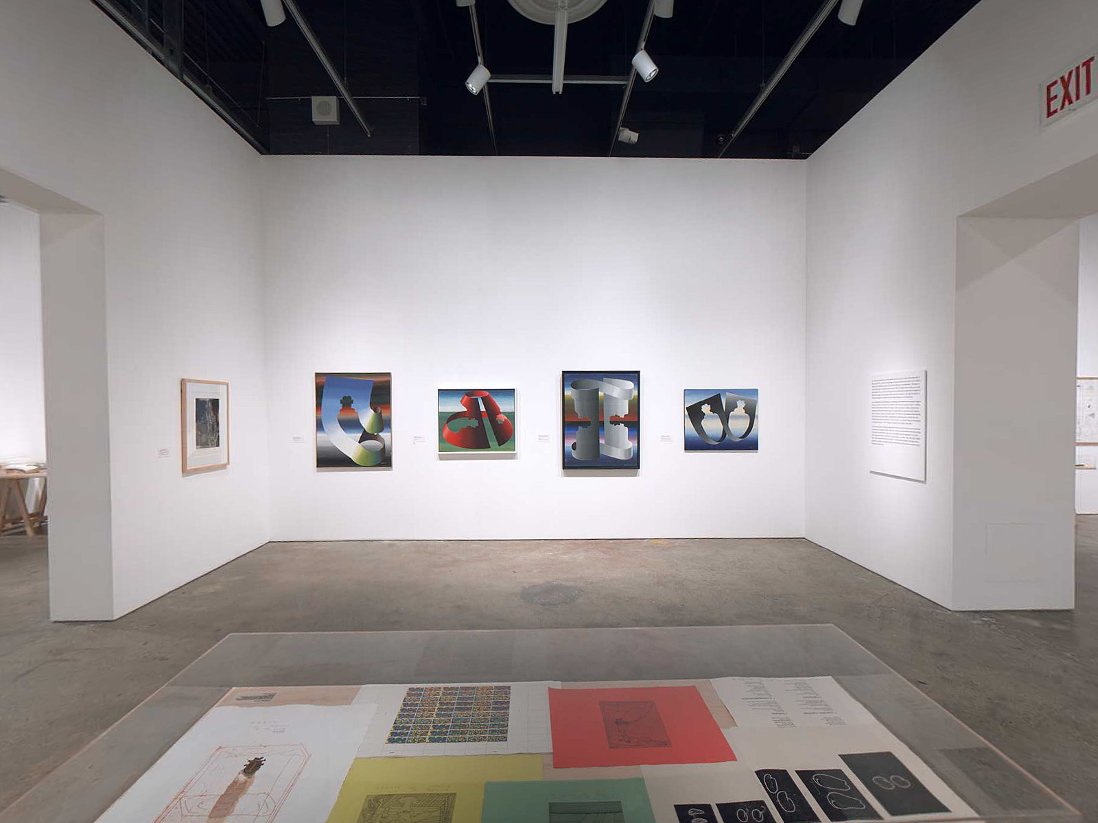 Installation view of the exhibition 