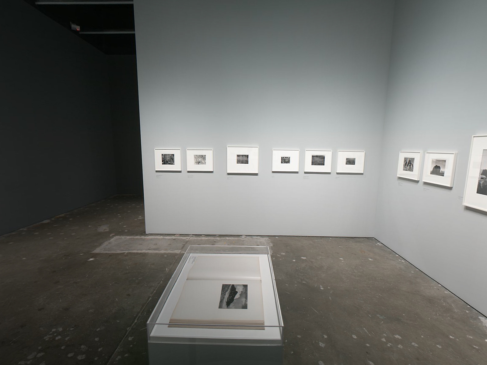 Installation view of the exhibition 