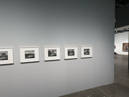 Ansel Adams at 100 | MoMA