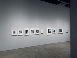 Ansel Adams at 100 | MoMA