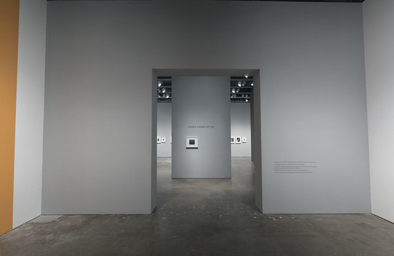Ansel Adams at 100 | MoMA