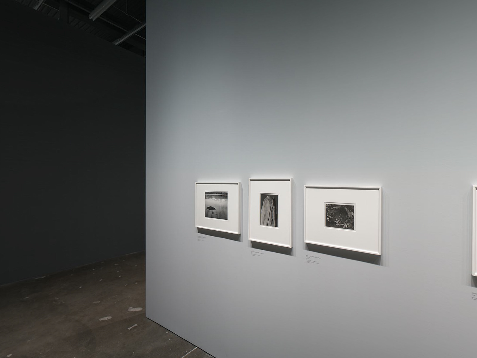 Installation view of the exhibition 