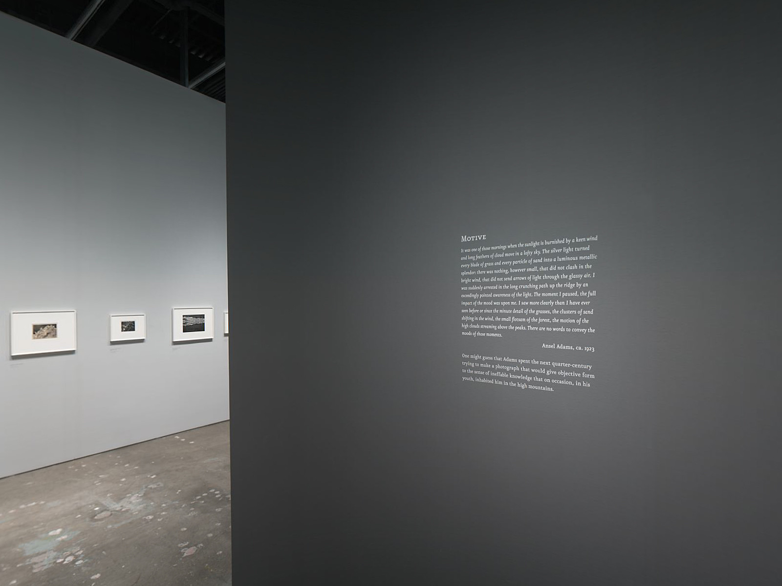 Installation view of the exhibition 