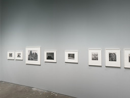 Ansel Adams at 100 | MoMA