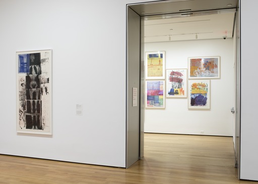 Robert Rauschenberg. Booster from Booster and 7 Studies. 1967 | MoMA