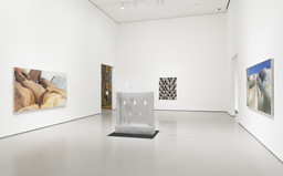 Robert Gober: The Heart Is Not a Metaphor | MoMA