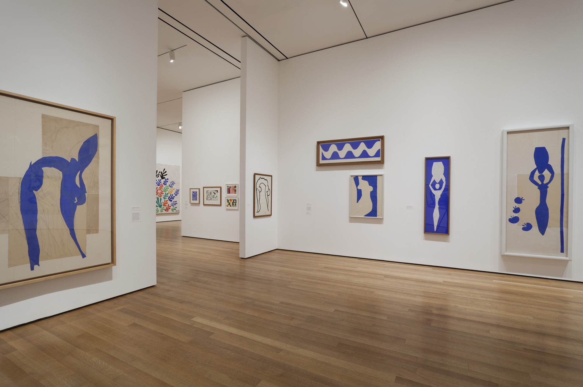 Installation View Of The Exhibition "Henri Matisse: The Cut-Outs" | MoMA