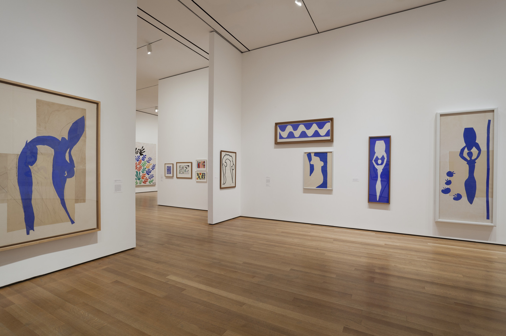 Installation view of the exhibition "Henri Matisse The CutOuts" MoMA