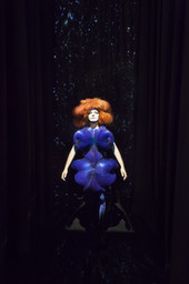 Björk | MoMA