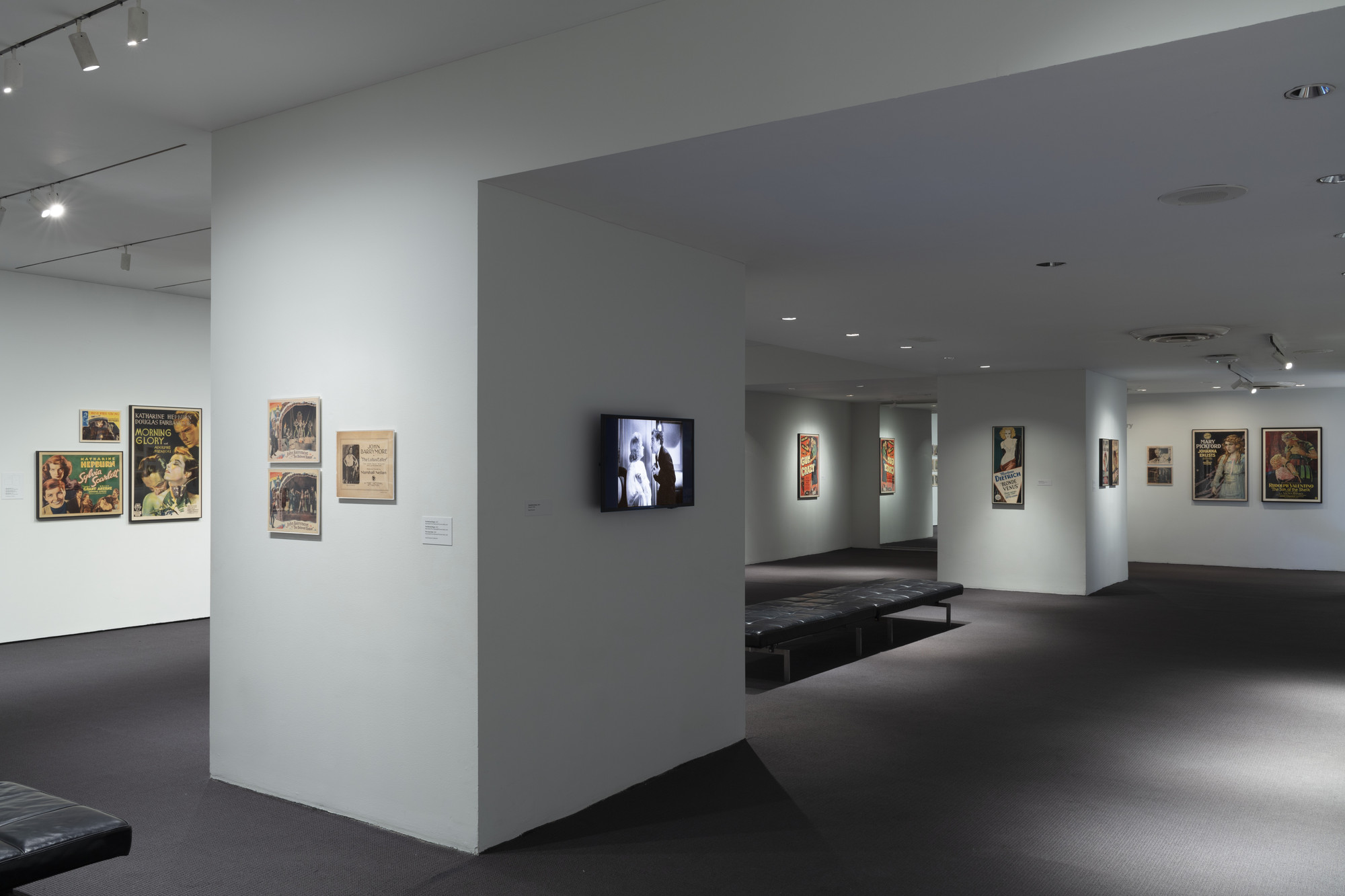 Installation view of the exhibition 