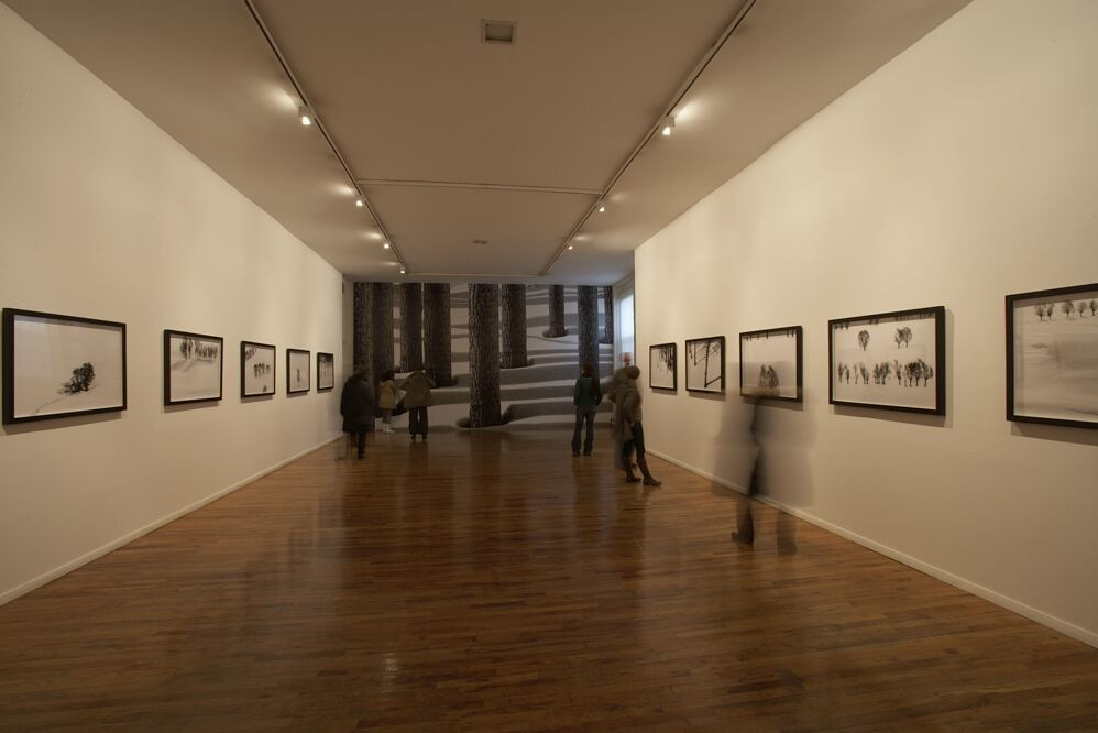 Installation view of the P.S. 1 exhibition 