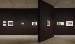 Betye Saar: The Legends of Black Girl’s Window | MoMA