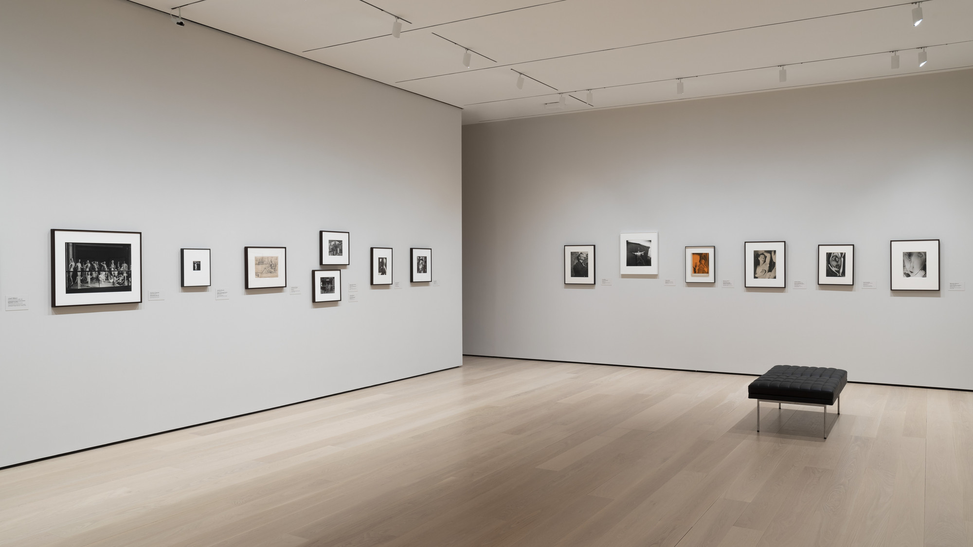 Installation view of the gallery 