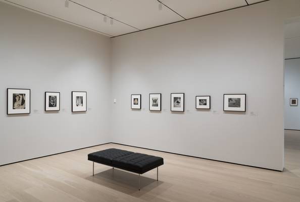 Berenice Abbott. Portrait of the Artist as a Young Woman. Negative c ...