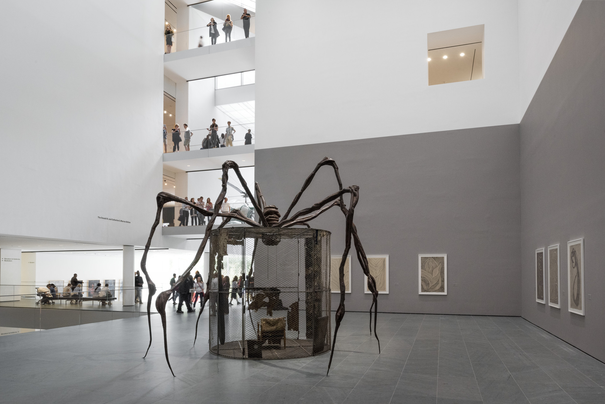 Louise Bourgeois, Exhibitions & Projects, Exhibitions