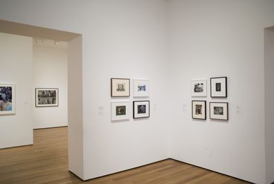 Edward Weston. Cabbage Leaf. 1931 | MoMA