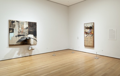 Robert Rauschenberg. Canyon. 1959 | MoMA