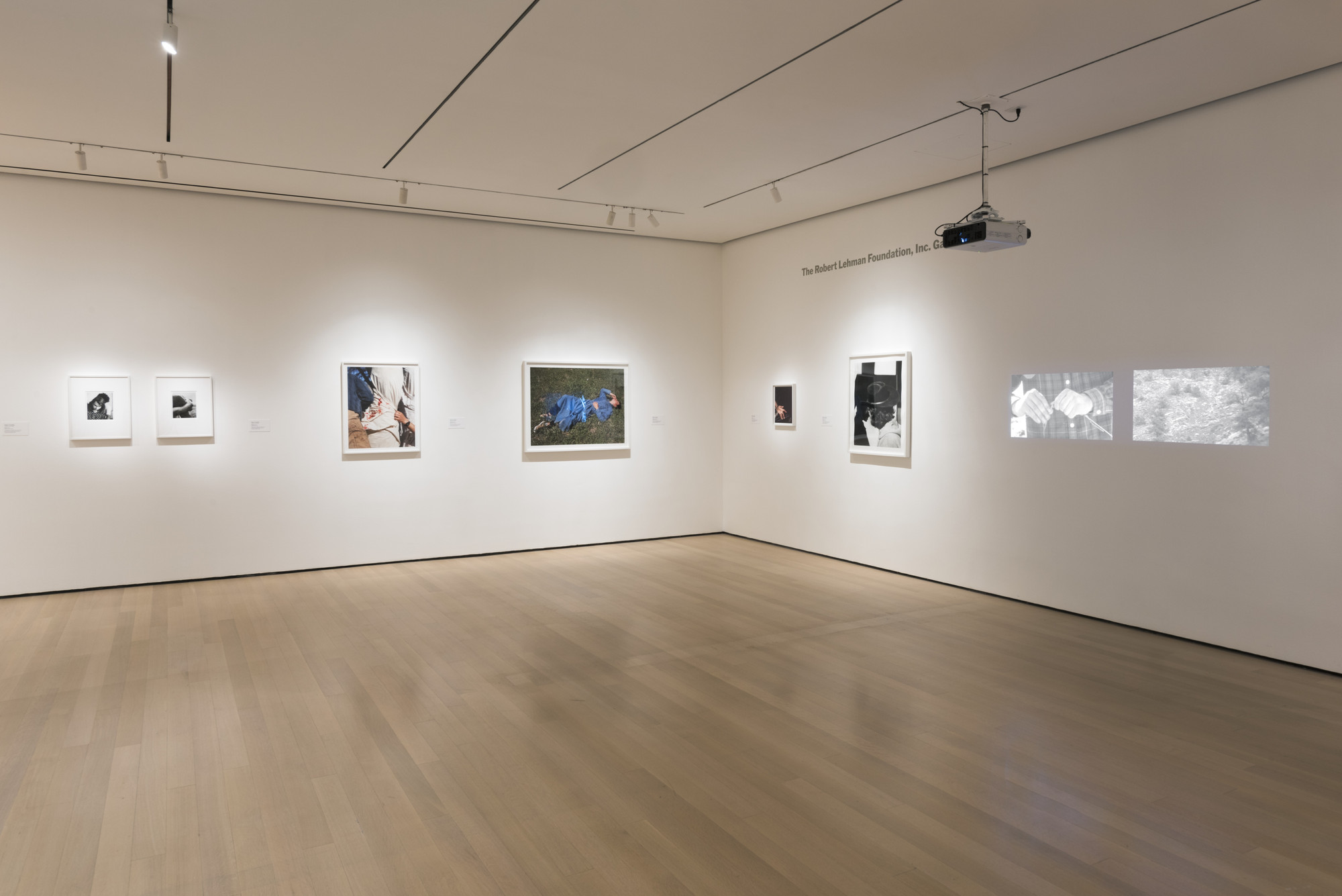 Installation view of the exhibition 