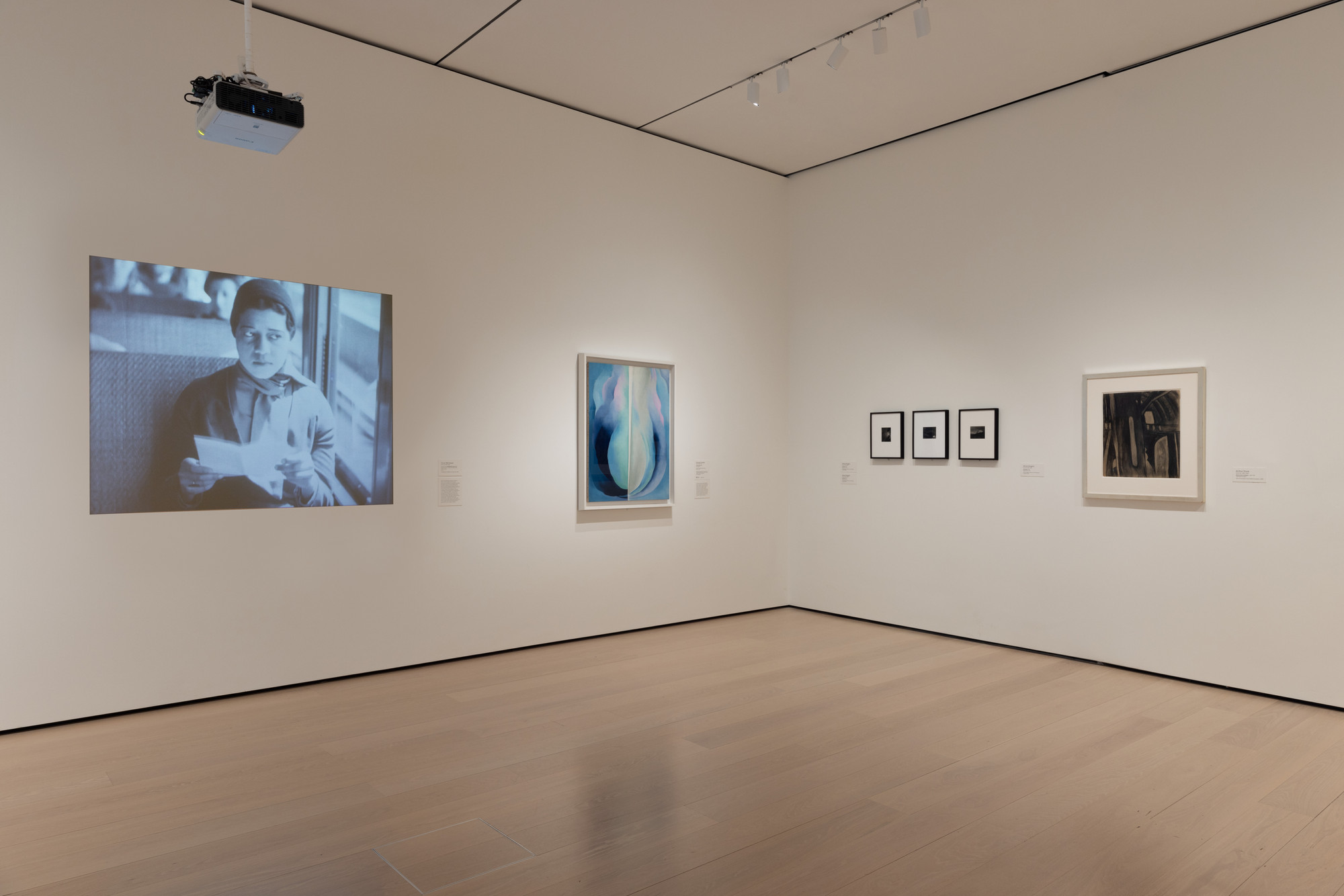 Installation View Of The Gallery 