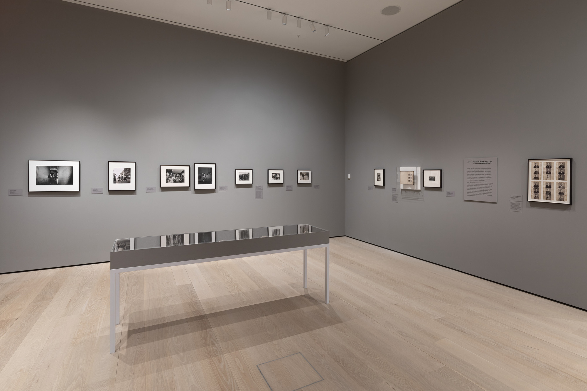 Installation view of the gallery 